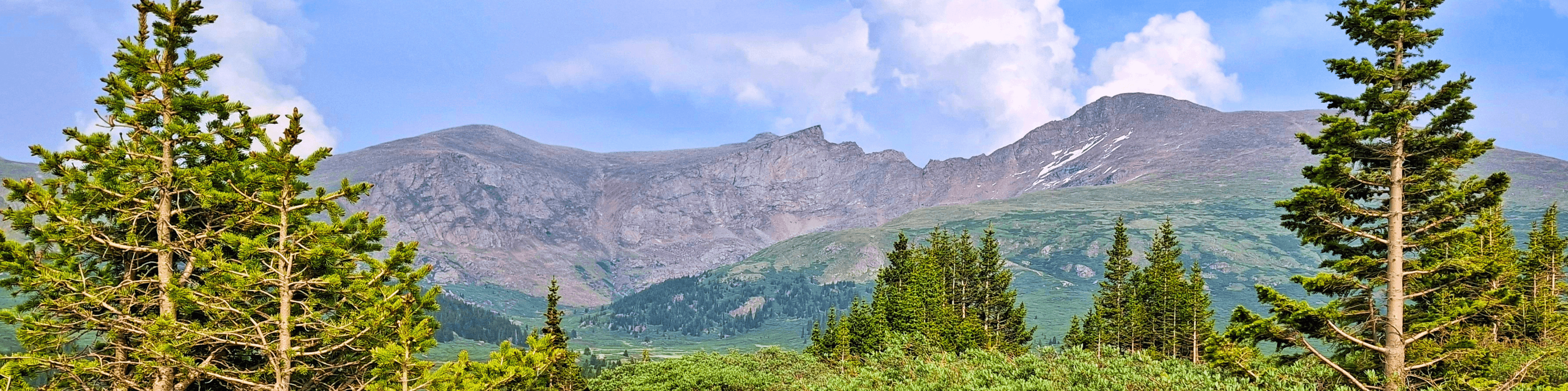 Decorative cover image for desktop webpage. Forested area with rocky mountain peaks in distance.